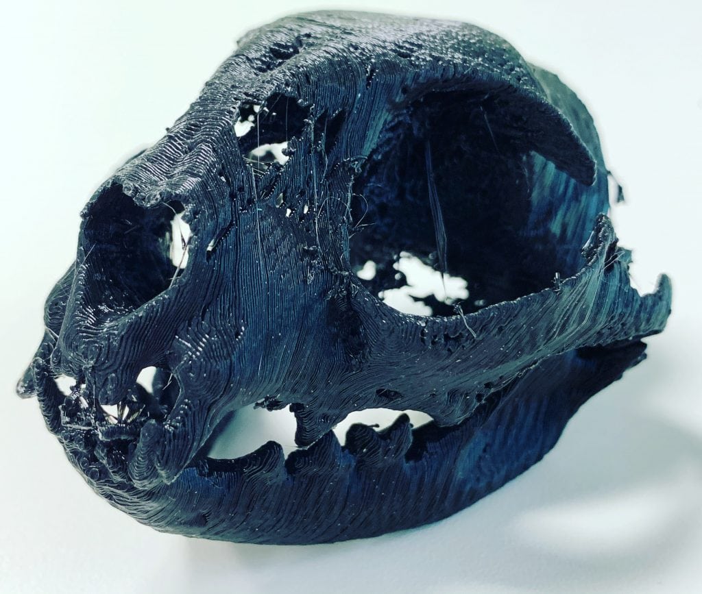 3D printing cat head